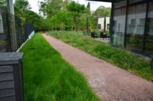 Paysage, entretien, tonte, espaces verts